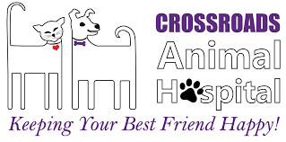 All pets veterinary hospital address, phone and customer reviews. Crossroads Animal Hospital Veterinary Services Veterinarians Serving Derry Hudson And Londonderry Nh Home