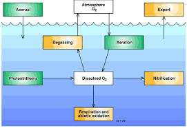 Dissolved Oxygen Diagram Wiring Diagrams