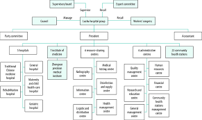 As with any ranking of cancer hospitals, this list provides a few prestigious names but doesn't. Organizational Structure Of The Luohu Hospital Group Shenzhen City China Download Scientific Diagram