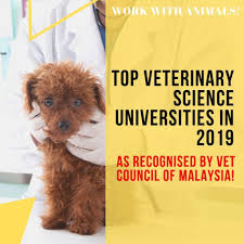 Department of islamic development malaysia (jakim) is the competent authority being responsible for halal certification in malaysia. Top 10 Veterinary Science Universities In 2019 Recognised By Vet Council Of Malaysia Excel Education Study Abroad Overseas Education Consultant