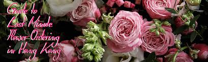 • 455 просмотров 3 года назад. Guide To Last Minute Flowers Ordering In Hong Kong Hong Kong City Guide Wcity Com