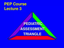 Image result for Pediatric Assessment Triangle