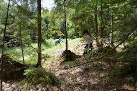 Ort lies in the innviertel. Wild Im Wald St Rupert Tagesstattenverlangerung Im Nationalpark Bayerischer Wald Hpz Rottal Inn