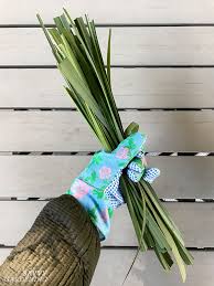 Keeping annoying mosquitoes and other stinging insects. How To Harvest Lemongrass For Cooking And Herbal Tea