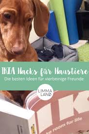Ikea Lurvig Hack Fur Dein Haustier Und Den Besten Freund Der Kinder Haustier Hund Ecke Hundeecke