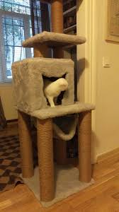 Miss Kedi Tirmalamasi Adli Kullanicinin Kedi Tirmalama Ve Oyun Evi 0507 664 22 22 Panosundaki Pin Tasarim Renkler Evler