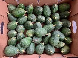 Image result for Dark Avocado 1983 Fedders