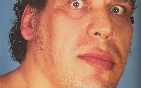 Andre The Giant had more to offer, but his health wouldn't allow it