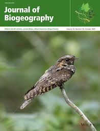 Image result for Aeschynomene baumii