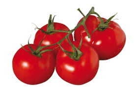 Construction du siege social saveol. Des Serres A Tomates Chauffees Par Une Usine Voisine
