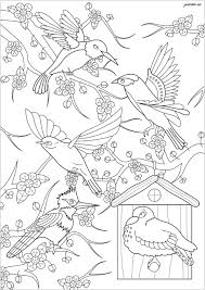 Make a fun coloring book out of family photos wi. Birds And Japanese Cherry Tree Birds Adult Coloring Pages
