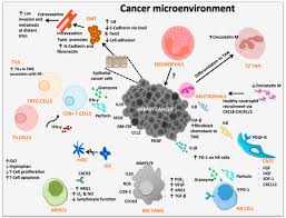 A sample of blood or other tissue is mixed with a substance containing specific antibodies. Cancer Immunology Wikipedia