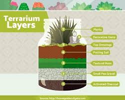 A Basic Guide To The Layers In Most Terrariums Allthebloom Com Bloomcertified Terrarium Ter Closed Terrarium Plants How To Make Terrariums Terrarium Diy
