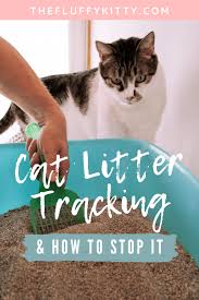 The best litter strategy is still going to result in the odd stray pebble turning up here and there. How To Stop My Cat From Tracking Litter Everywhere Fluffy Kitty