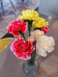 Most mcdonald's rent the land under their store and that can cost upwards of 500,000 each year. Real Flowers At Mcdonald S Album On Imgur