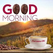 When In Doubt It S Always Best To Go With Colombian Coffees Coffee Coffeepeople Coffeelovers Colombian Coffee Dog Food Recipes Food Animals