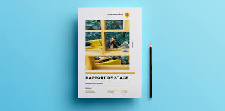 Modele De Rapport De Stage A Telecharger Pour Etudiants