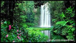 Oleh iu, untuk mengembalikan kesegaran alam sekitar beberapa langkah menjaga alam sekitar perlulah diambil. Download Teknologi Hijau Memelihara Alam Sekitar Relaks Minda Gratis