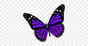 Butterflies are beautiful looking insects with wings and various colours. Beautiful Butterflies Cute Digital Clipart Butterfly Purple Butterfly Png Free Transparent Png Clipart Images Download