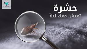 السرير الذي تنام عليه به حشرة لا تراها شاهدها في الفيديو Youtube