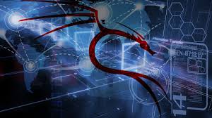 It is most widely used by the the intelligence bureau and the white hat hackers to find vulnerability in the website and to find security flaws in kali linux wallpapers. 73 Kali Linux Wallpaper 1920 1080