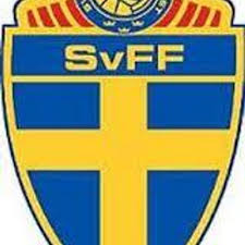 Den naturliga samlingsplatsen för alla som är intresserade av fotboll, hockey, motor och bandy. Allt Om Sverige Fotboll Sportlovin Se