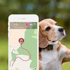 tractive gerat hunde gps tracker mit app leicht wasserdicht hund halsband kreative geburtstag kreative geburtstagsgeschenke hunde geschenke zum geburtstag