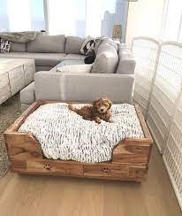 Pin By Marissa Strunk On A N I M A L S Puppy Room Dog Rooms Dog Bedroom