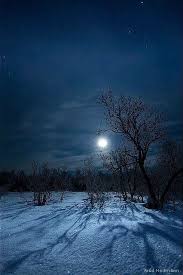 Check spelling or type a new query. Moonlit Winter Night Winter Scenery Winter Landscape Beautiful Moon