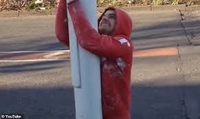 Take hold of his legs and lift him up the tree or pole; Pole Challenge Is Latest Viral Trend But Can You Get Out Of It Daily Mail Online