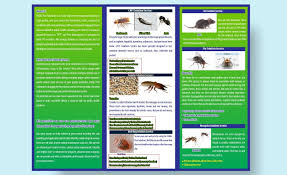 Pest control is the only point of sale for new work from the in response to some rather tragic stories we've started a 'keeping it real' service. Public Pest Solutions Home Facebook