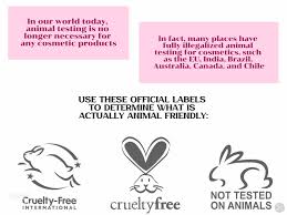 Support Cruelty-Free Brands: A Guide to Ethical Beauty 🐰
