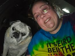 Dog saves owner from diabetic coma