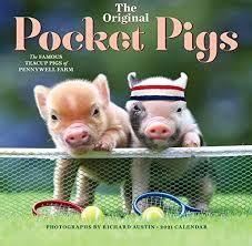 Read Download The Original Pocket Pigs Wall Calendar 2021 Free Epub Mobi Ebooks In 2020 Pocket Pig Pig Wall Calendar