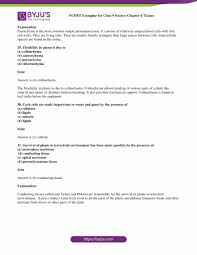 A group of cells performing a specific function is called a tissue. Ncert Exemplar Class 9 Science Solutions Chapter 6 Tissues Ncert Exemplar Free Pdf Download