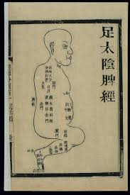 File Acu Moxa Chart Spleen Channel Of Foot Taiyin Chinese