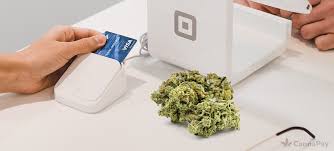 Compare the best credit cards of 2021. The Comprehensive Cannabis Credit Card Processing Guide