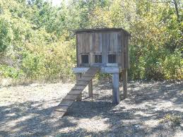 Great range of chicken coop styles for your backyard. Ymsl Village Chicken Coop 2 Allen Heritage Guild