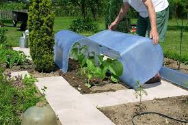 La sélection produits leroy merlin de ce lundi au meilleur prix ! Mini Serres Et Chassis Modulables La Boutique Du Jardinage