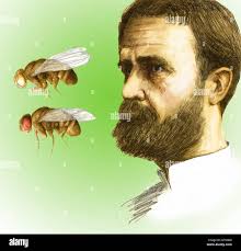 Thomas hopkins hi-res stock photography and images