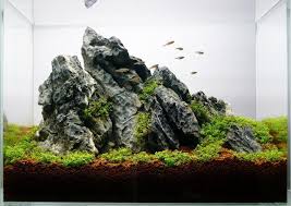 Please include notes with your order to let us know the approximate size or quantity of. Japanese Seiryu Stone For Aquascapers Discus Com