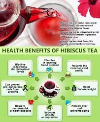 It is a the consumption of hibiscus sabdariffa dried calyx ethanolic extract reduced lipid profile in rats. Hibiscus Tea Benefits And Side Effects Karkade And Roselle Tea