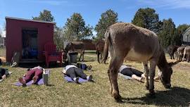 Wild Ass Yoga - 2026