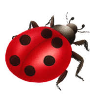 La Maison De L Escargot Il Etait Une Histoire Ieuh En 2020 Escargot Histoire Coccinnelle