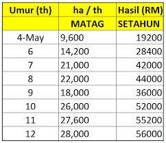 Ia merupakan kelapa hibrid yang dihasilkan daripada pendebungaan silang kelapa rendah malaya dan kelapa tagnanan. Kelapa Mataq Tanaman Industri Lumayan Masa Depan Usahawan Tani Kelantan