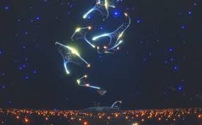 Image result for spirits in the nightsky