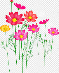 Watch this video to learn how. Microsoft Powerpoint Flower Template Presentation Slide Chrysanthemum Blue Herbaceous Plant Flower Arranging Png Pngwing