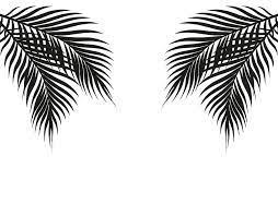 Dki jakarta vektor cdr png resolusi tinggi warna dan hitam putih yang gambar hitam putih vector mantap gambar daun vektor segar royalty. Daun Palem Hitam Dan Putih Tropis Di Kedua Sisi Vektor Ai Eps Uidownload