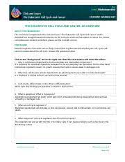The cell cycle worksheet answer key worksheet resume. Cell The Eukaryotic Cell Cycle And Cancer An Overview About This Worksheet This Worksheet Complements The Click And Learn U201cthe Eukaryotic Cell Course Hero
