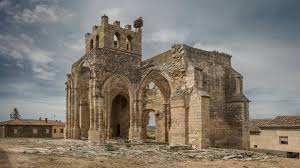 Image result for Eulalia polyneura